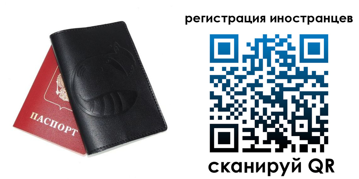 регистрация для школы в Елизово